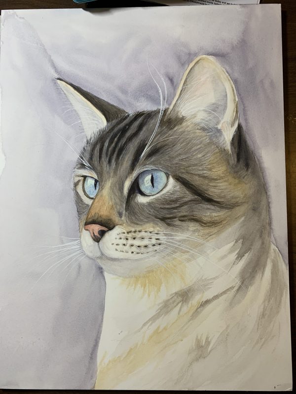 Link pet portrait