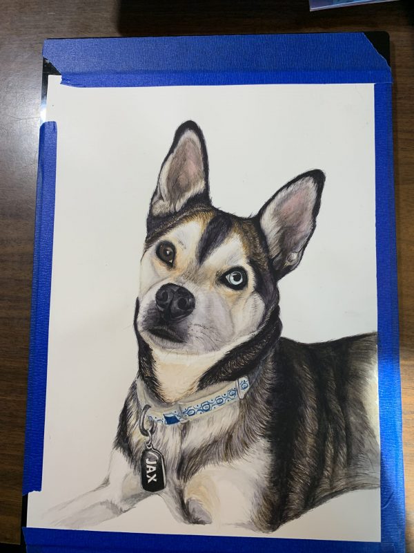 Husky Portrait