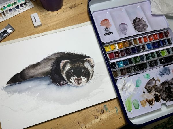 ferret painting