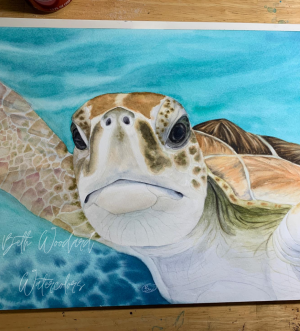 sea turtle up close and personal