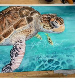 lounging sea turtle