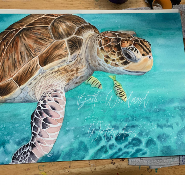 lounging sea turtle