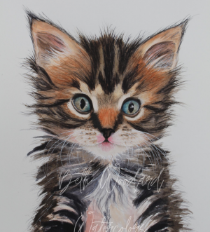 Finn the Puppykitten print
