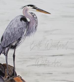 Blue Heron picture with logo