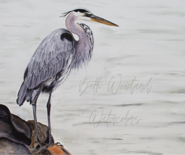 Blue Heron picture with logo