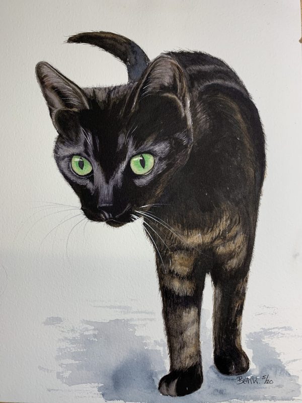 tortie cat watercolor