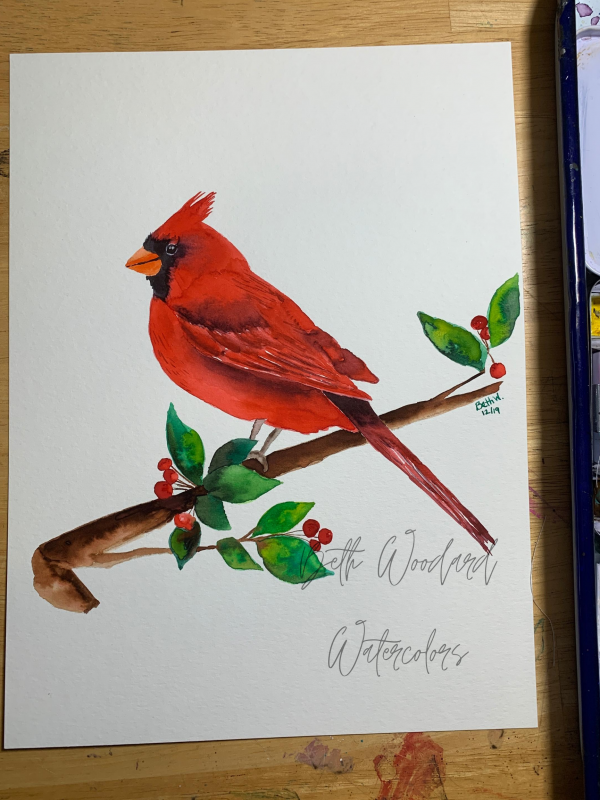 Cardinal Watercolor