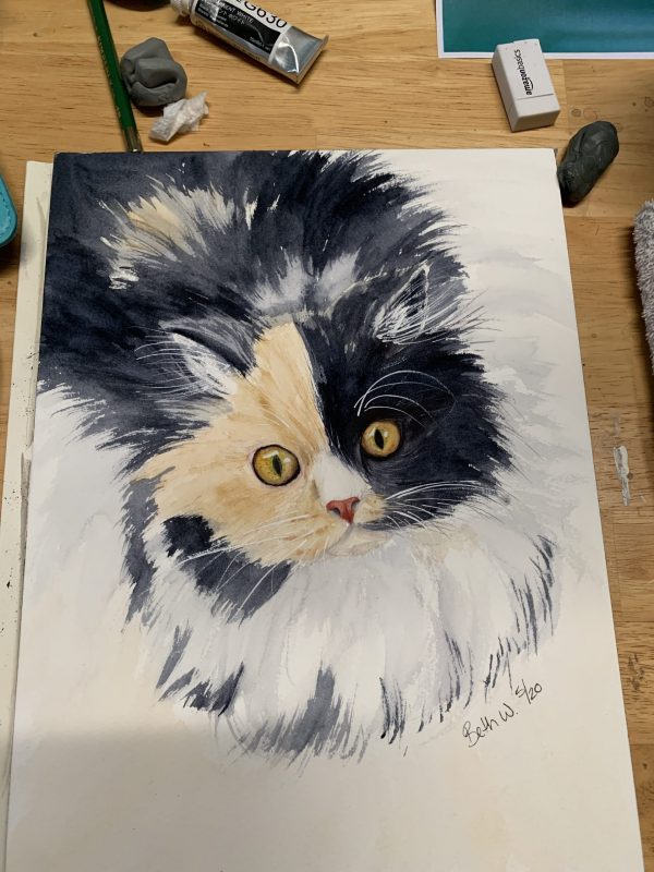 persian pet portrait