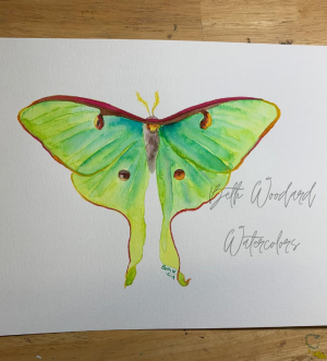 Luna Moth Watercolor