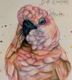 Moluccan Cockatoo Painting
