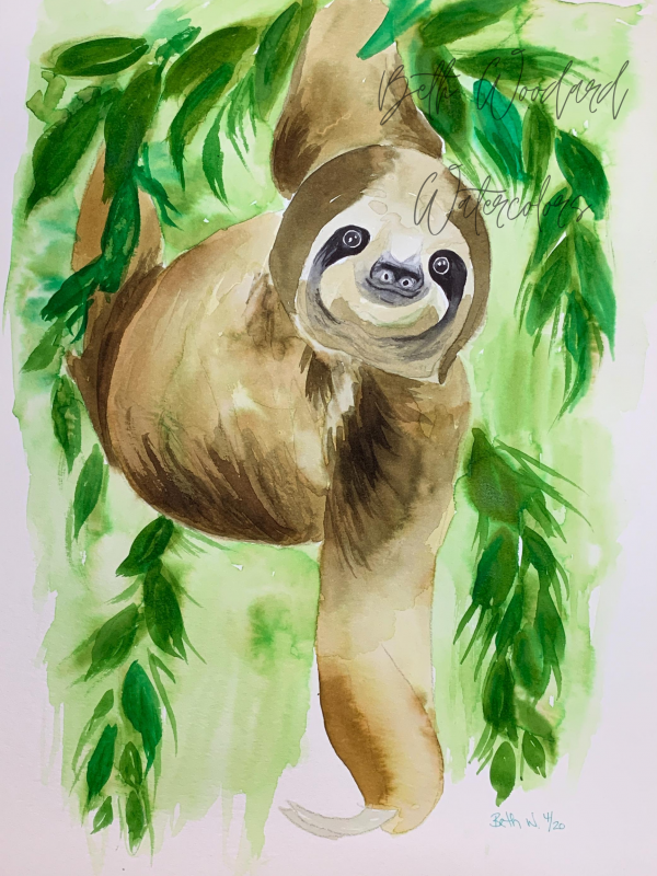 silly sloth painting