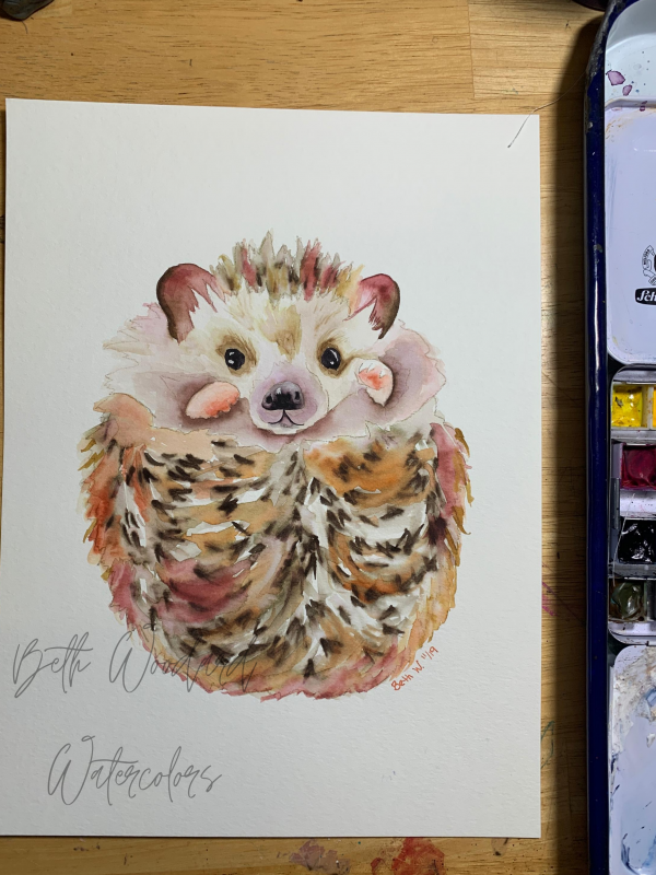 adorable hedgehog watercolor