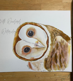 curious owl watercolor