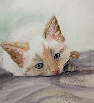 lazy kitten watercolor