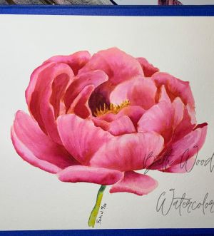 pink peony painting