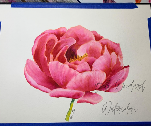 pink peony painting