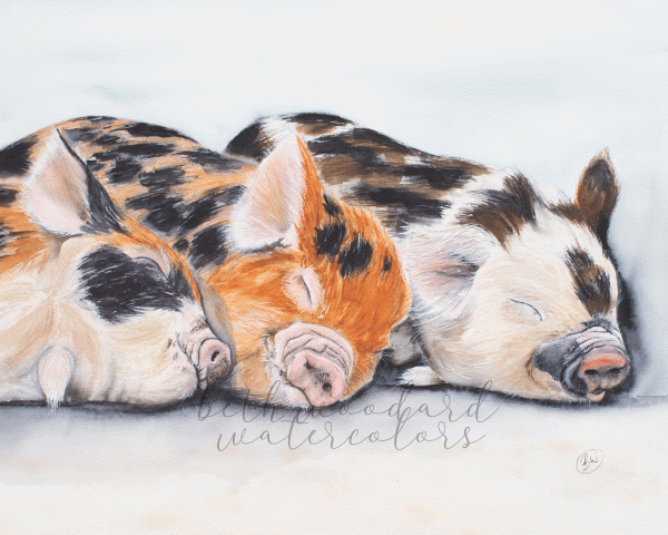 three little piggies painting
