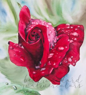 "The Rose" Print