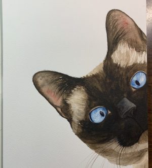 peek a boo cat