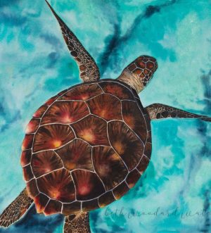 sea turtle with tropical water