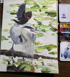 Heron with red wing blackbird