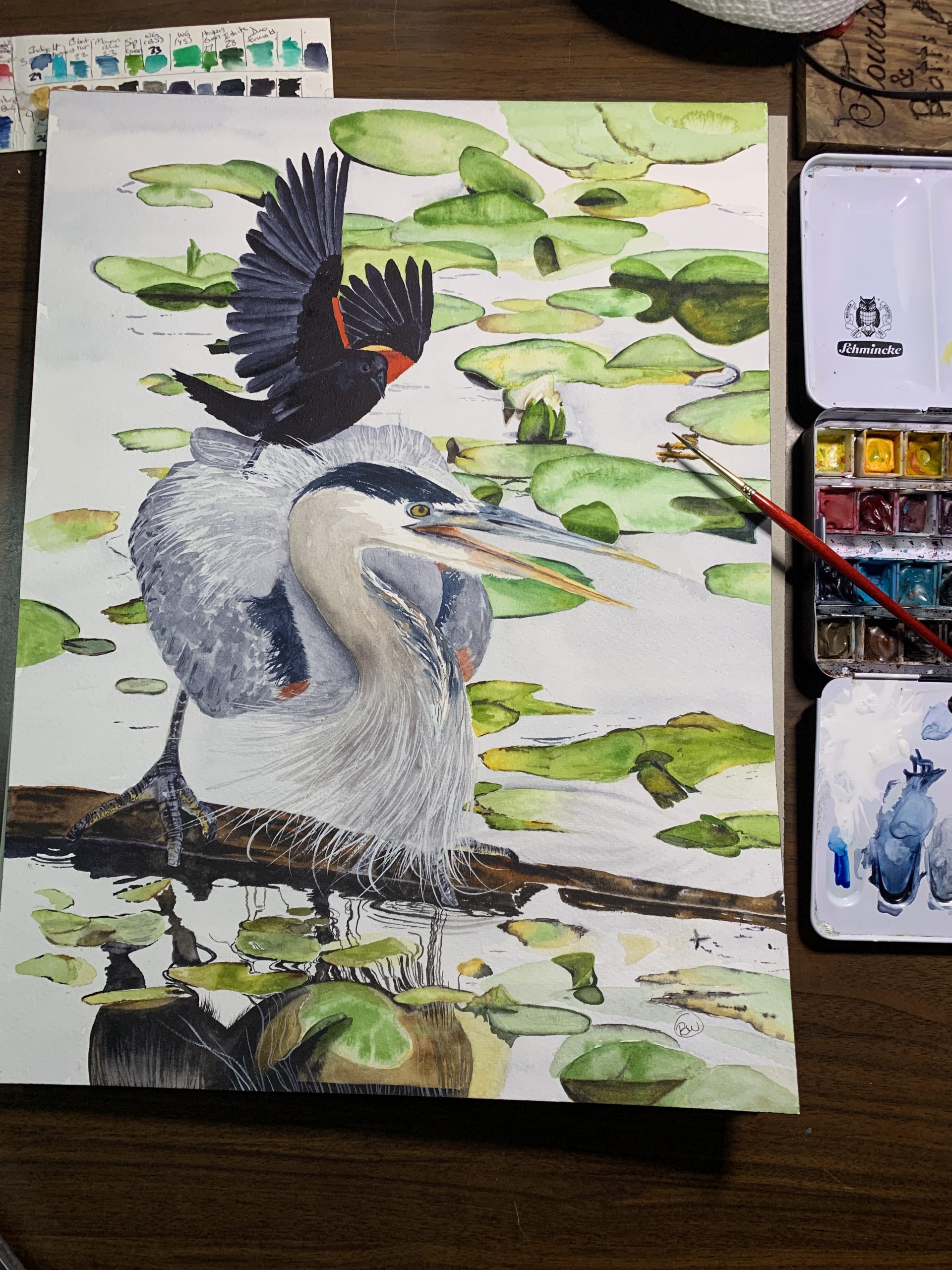Heron with red wing blackbird